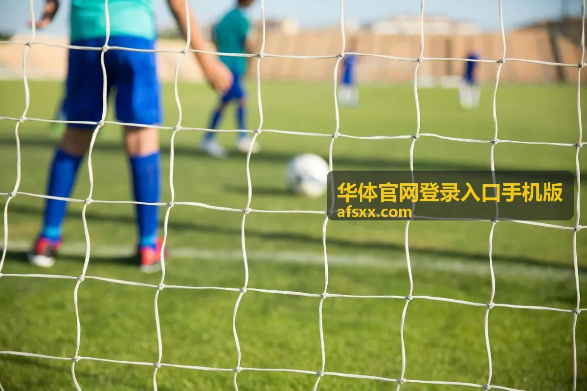 华体官网登录入口手机版在手机与平板上的界面比例对比