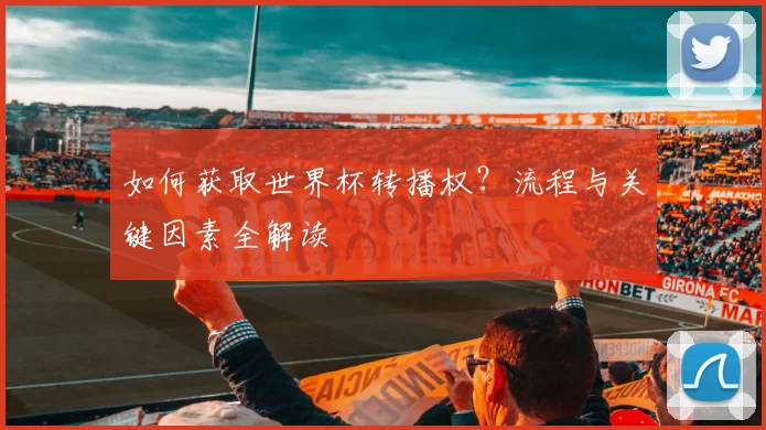 如何获取世界杯转播权？流程与关键因素全解读
