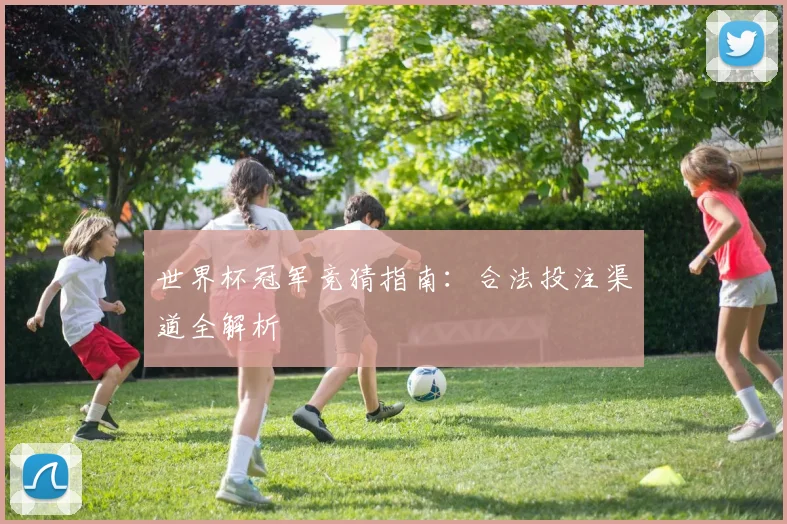 世界杯冠军竞猜指南：合法投注渠道全解析