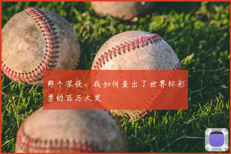 那个深夜，我如何查出了世界杯彩票的百万大奖