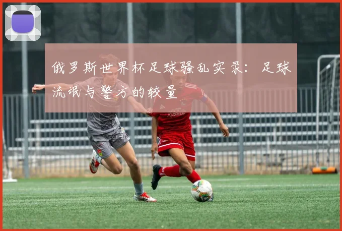 俄罗斯世界杯足球骚乱实录:足球流氓与警方的较量