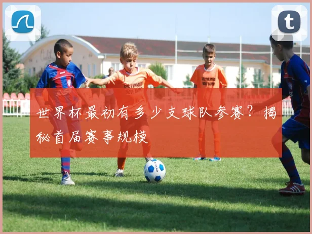 世界杯最初有多少支球队参赛？揭秘首届赛事规模