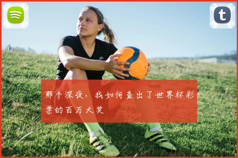 那个深夜，我如何查出了世界杯彩票的百万大奖